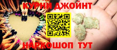 дживик Можга