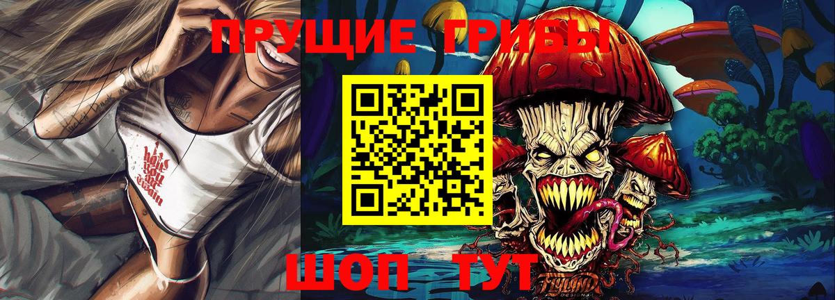 Нальчик  Псилоцибиновые грибы прущие грибы  Вход с VPN  Псилоцибиновые грибы Psilocybine cubensis 